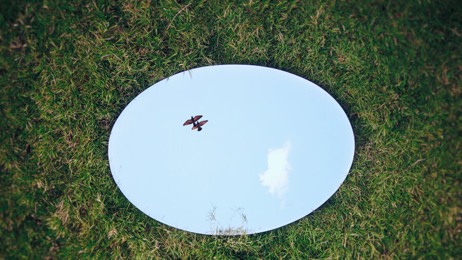 photo mirror with birds