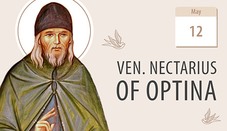 Elder Nectarios, Disciple of the Great Elders of Optina