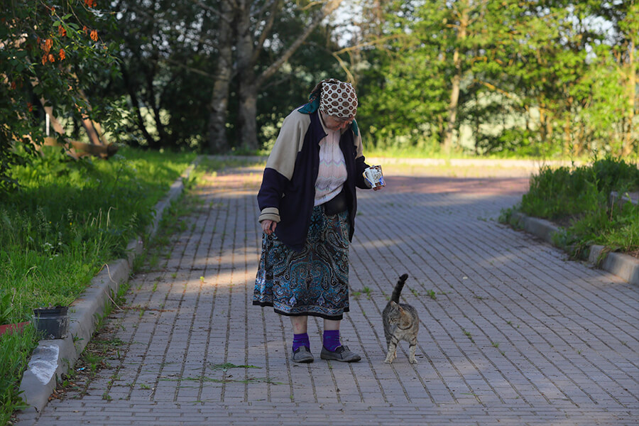 feeding a cat