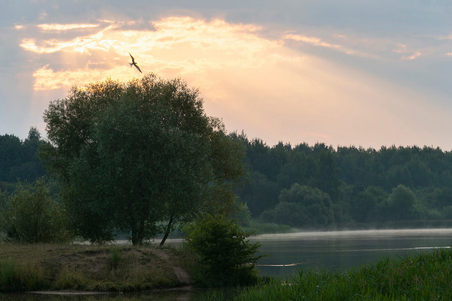 Sommerlandschaft