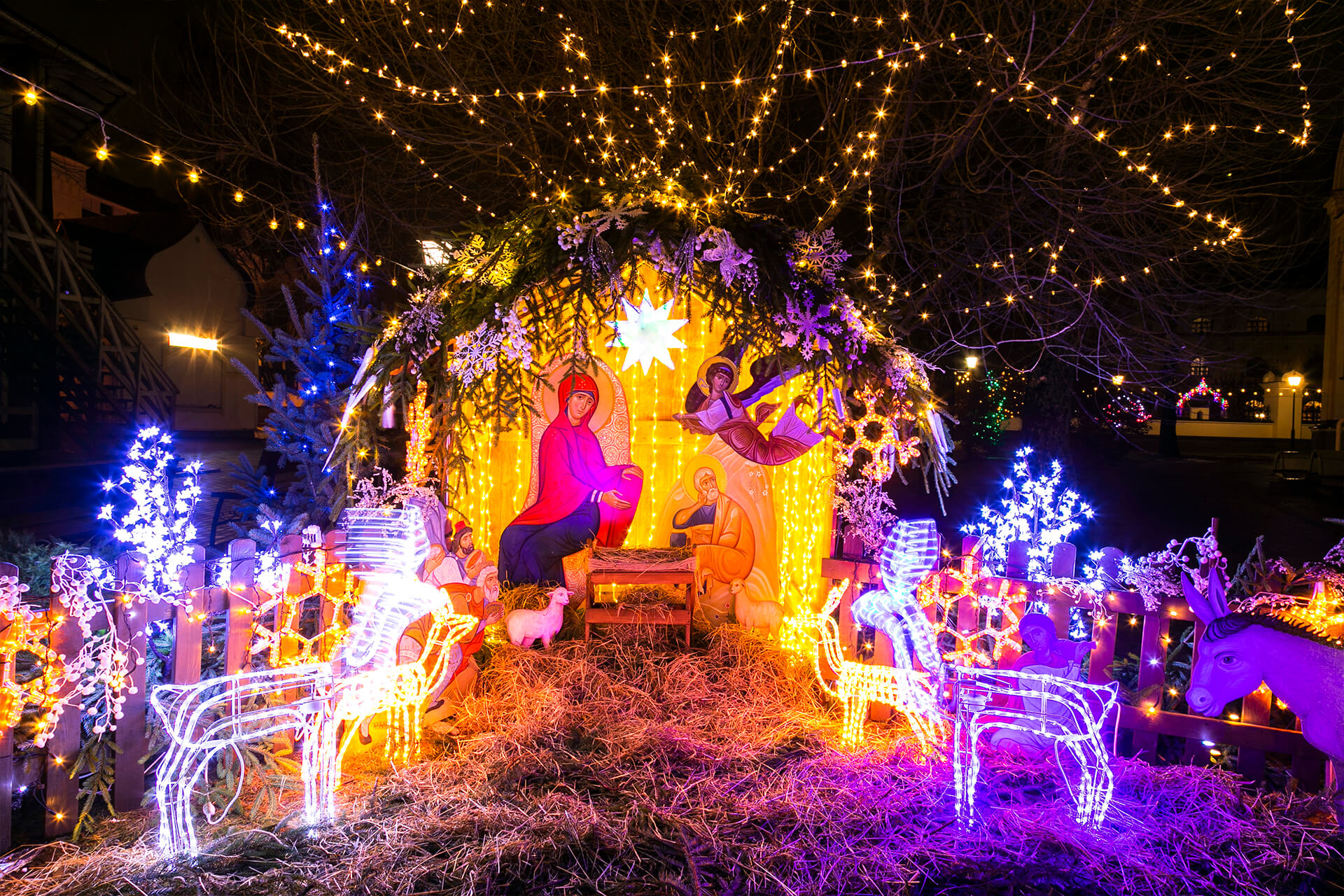 Les derniers jours avant Noël à notre monastère