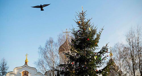 Giving Wings to Recovering Mental Patients