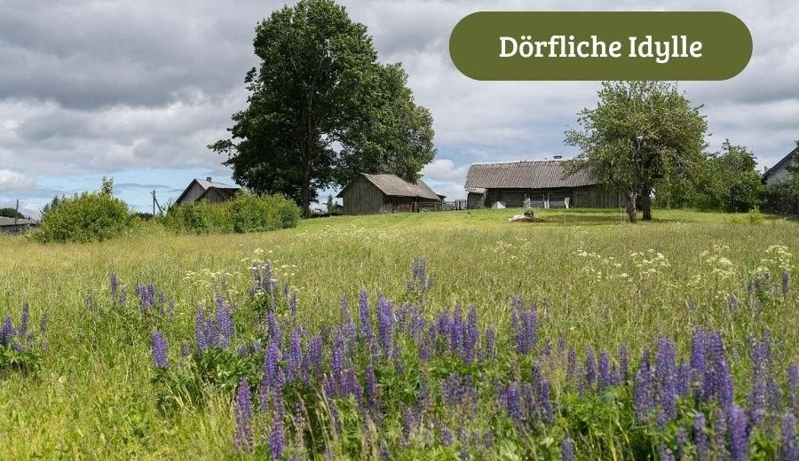 Dorfleben im Sommer