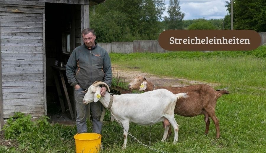 die Arbeit mit den Tieren