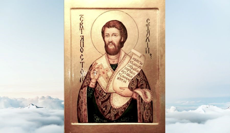 Hll. Apostel Stachys und Amplios