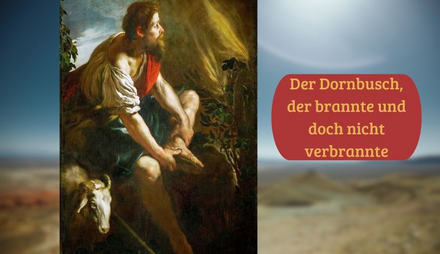 Der Dornbusch, der brannte und doch nicht verbrannte