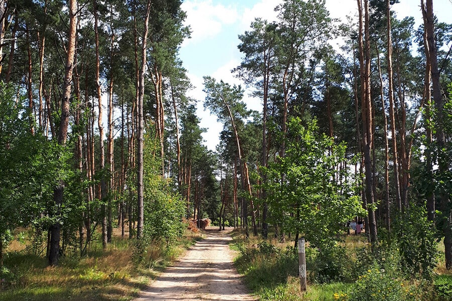  Lavrishevo Monastery in the woods