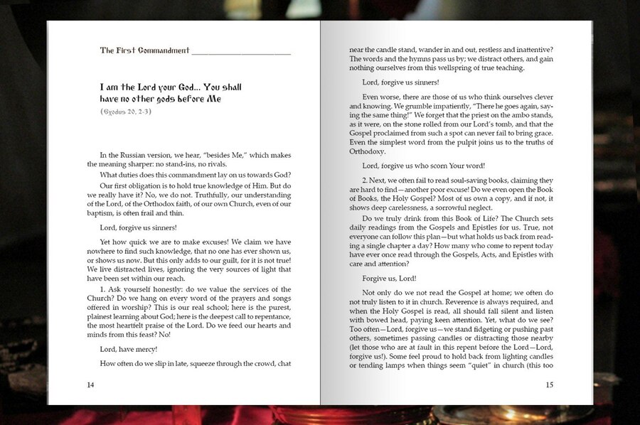 Toward a Living Confession: Steps of the Penitent Heart 