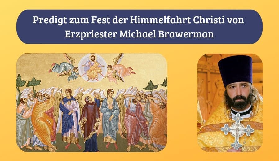 Predigt zum Fest der Himmelfahrt Christi