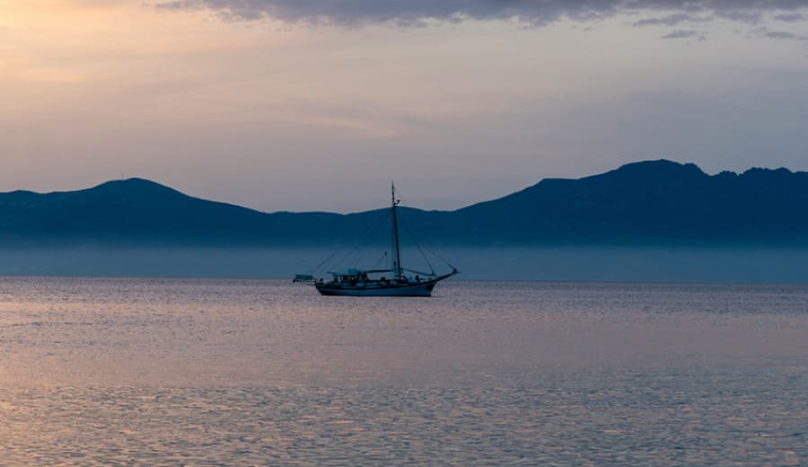 Sunday of St Gregory Palamas