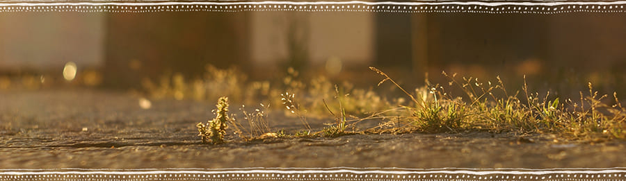 article banner