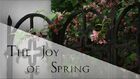 The Joy of Spring
