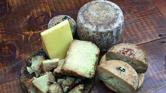 Expanded cheese making workshop will bring new job opportunities