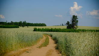 Novinki: an area with a tumultuous past