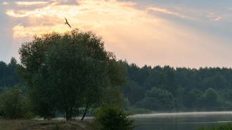 God’s messengers who lead us to believe