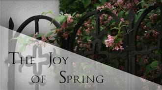 The Joy of Spring