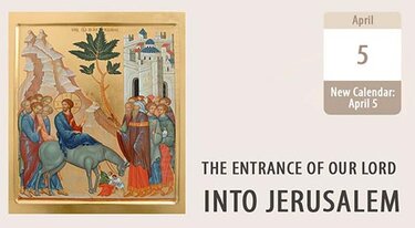 Palm Sunday | The Kingdom not of This World