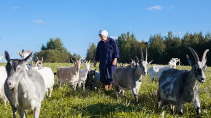 Centre d’Accueil pour femmes