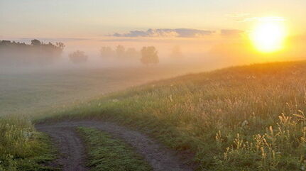 In praise of silence