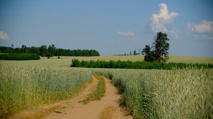 Une terre arrosée de larmes et de sang