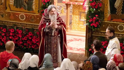 Réflexions sur le dimanche du paralytique