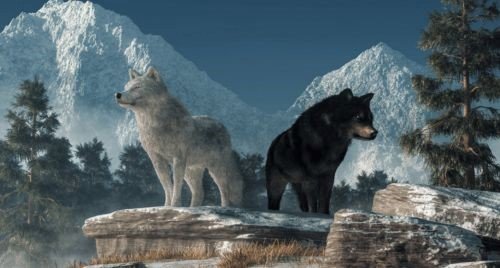 Das Gleichnis von den zwei Wölfen