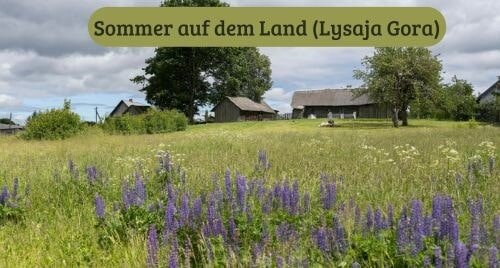 Sommer auf dem Land (Lysaja Gora)